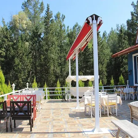 Comfy Apart W Shared Pool Near Kusadasi In Selcuk