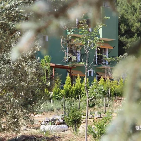Bed & Breakfast Comfy Apart W Shared Pool Near Kusadasi In Selcuk