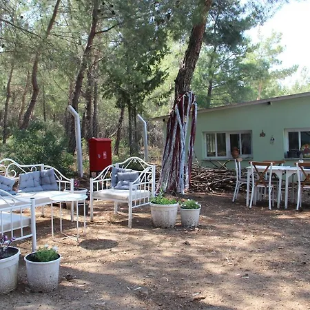 Bed & Breakfast Comfy Apart W Shared Pool Near Kusadasi In Selcuk Kirazli (Aegean)