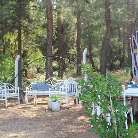 Comfy Apart W Shared Pool Near Kusadasi In Selcuk * Kirazli (Aegean)